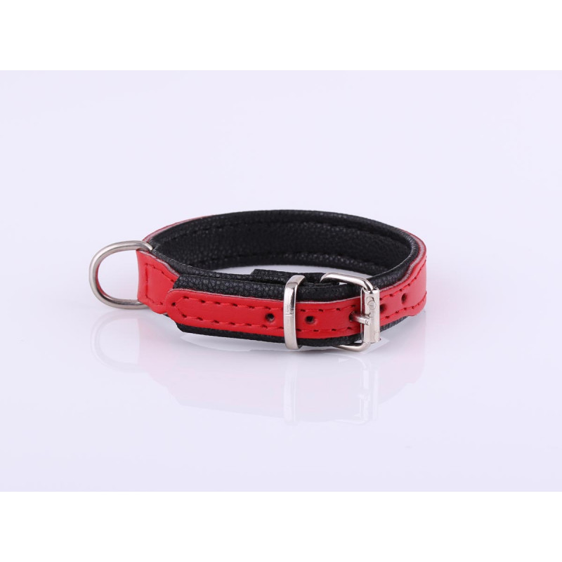 Personalised Red Leather Dog Collar with Soft Padding