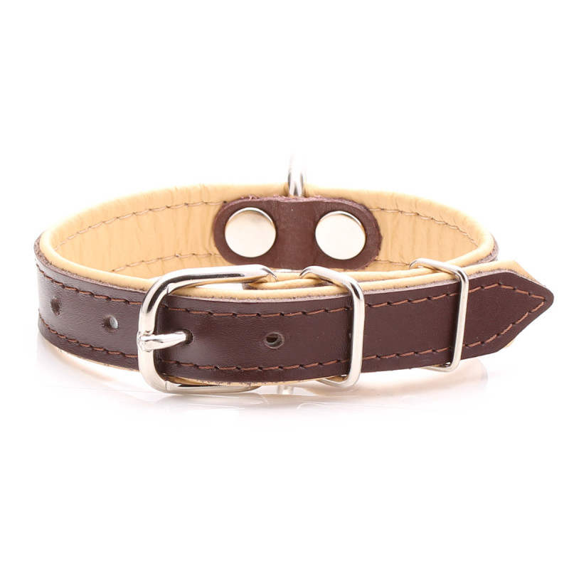 Brown Leather Dog Collars UK Beige Padding Strong Metal Buckle