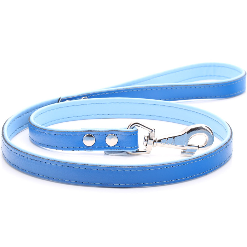 Blue Leather Dog Lead / Leash with Blue Padding - optional personalisation