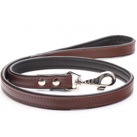 Leather Dog Leash: The Ultimate Leash Leather Series