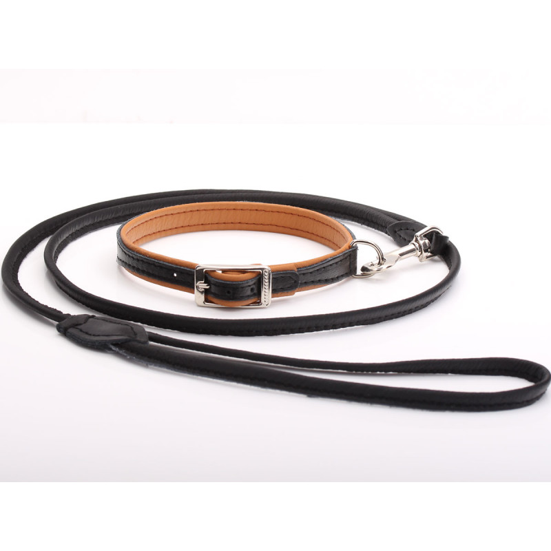 Black & Tan Leather Dog Collar & Lead Set Combo