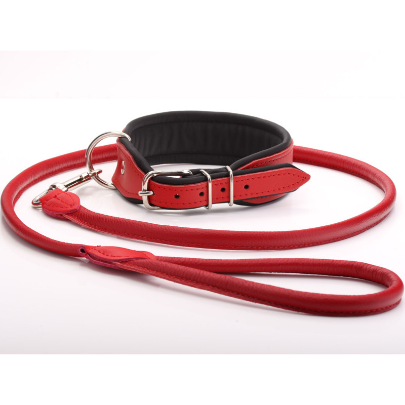 Custom Red Leather Dog Collar & Lead Set