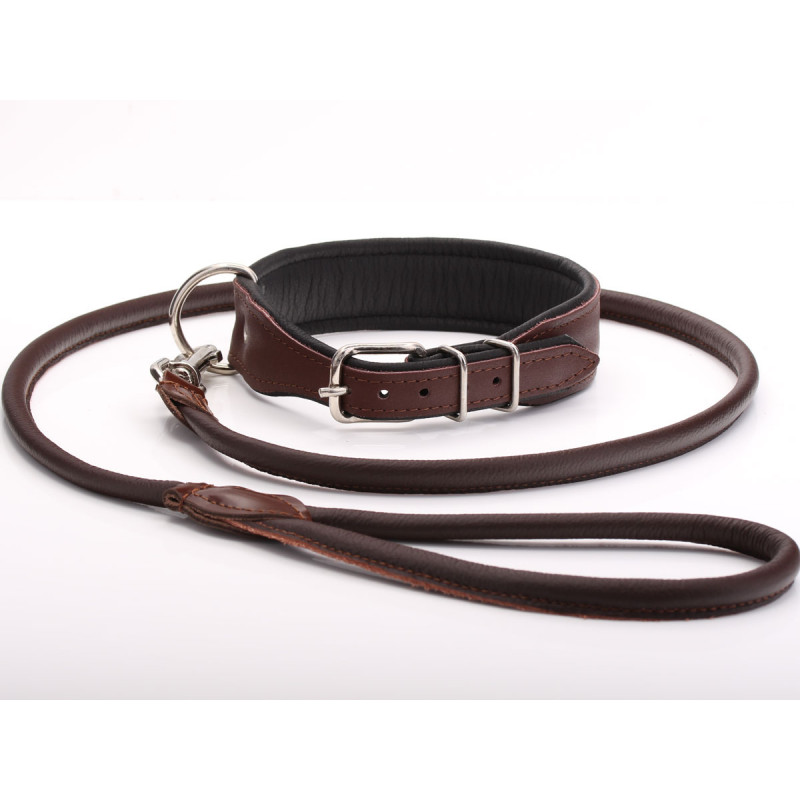 Frusta da addestramento per cani medi, frusta per cani in pelle bovina artificiale grande, addestramento per cani