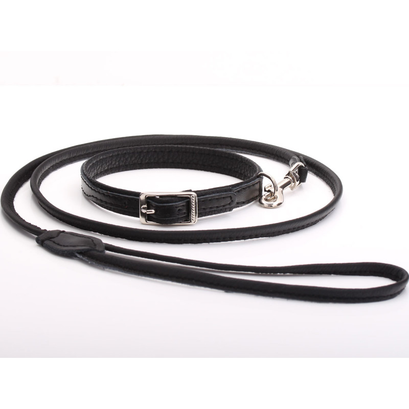 Luxury Black Leather Dog Collar & Leash Set