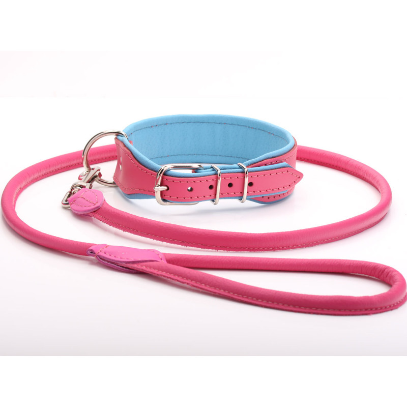 Fancy Pink & Blue Leather Dog Collar & Lead Set