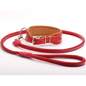 Red & Tan Luxury Dog Collar & Lead Set