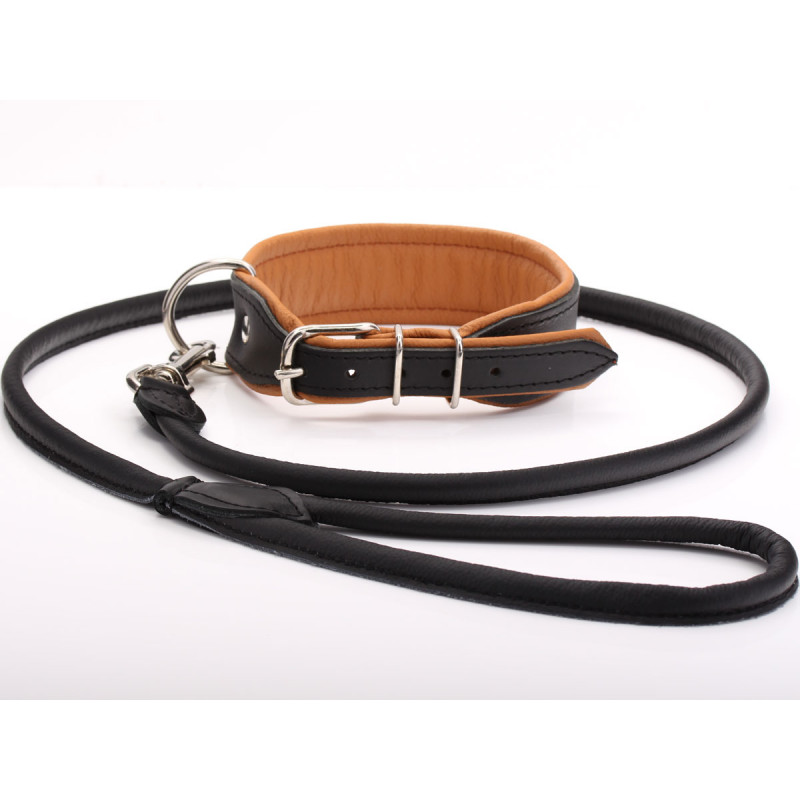 Black & Tan Leather Dog Collar & Lead Set Combo