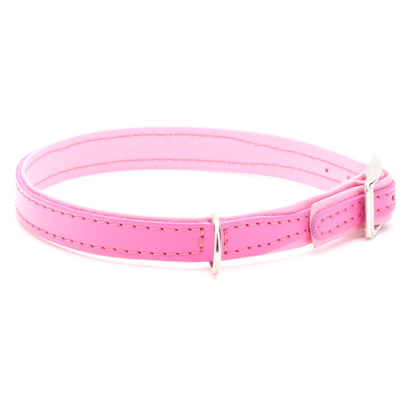 Personalised Pink Dog Collar with Matching Pink Lead