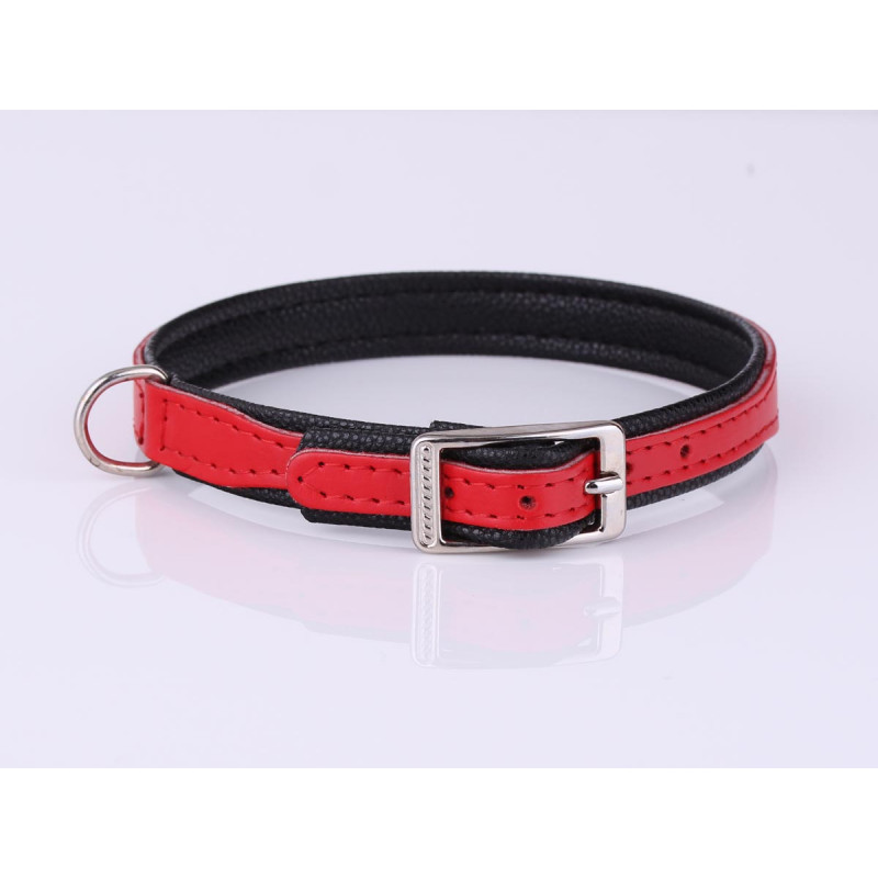 Personalised Red Leather Dog Collar with Soft Padding