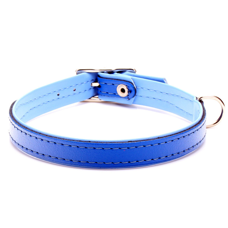 Custom Blue Leather Dog Collar with Blue Padding
