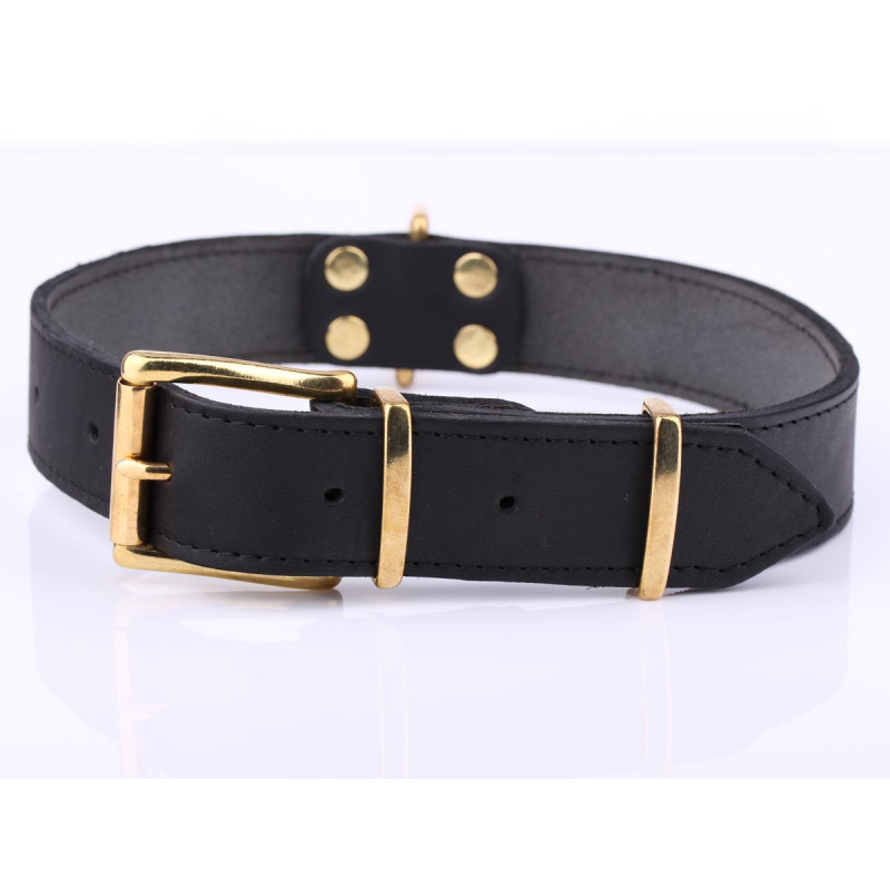Black Leather Dog Collar with Brass Hardware and Buckle