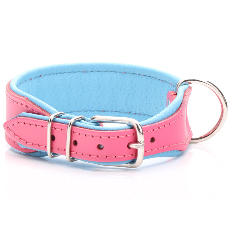 Cute Pink & Blue Leather Dog Collar Tiny to Large Sizes