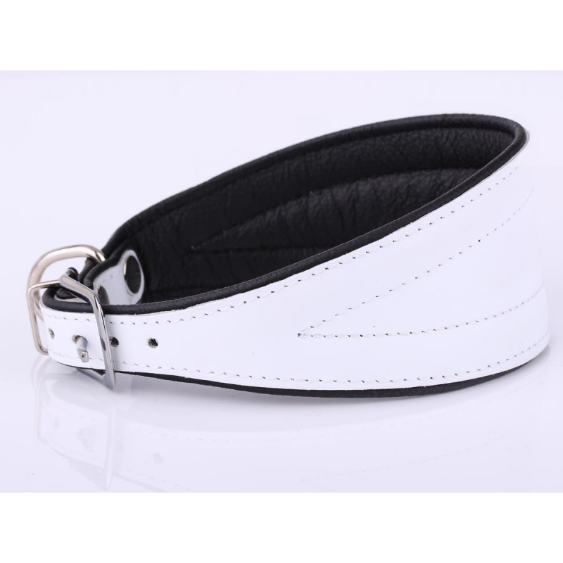 Personalized White Greyhound, Lurcher & Whippet Collar with Soft Padding