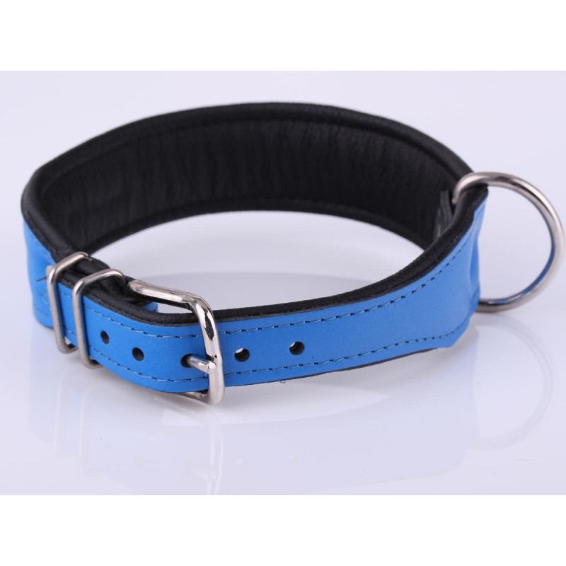 Personalised Dog Collars or Puppy Collar. Padded Leather. XS, Small or