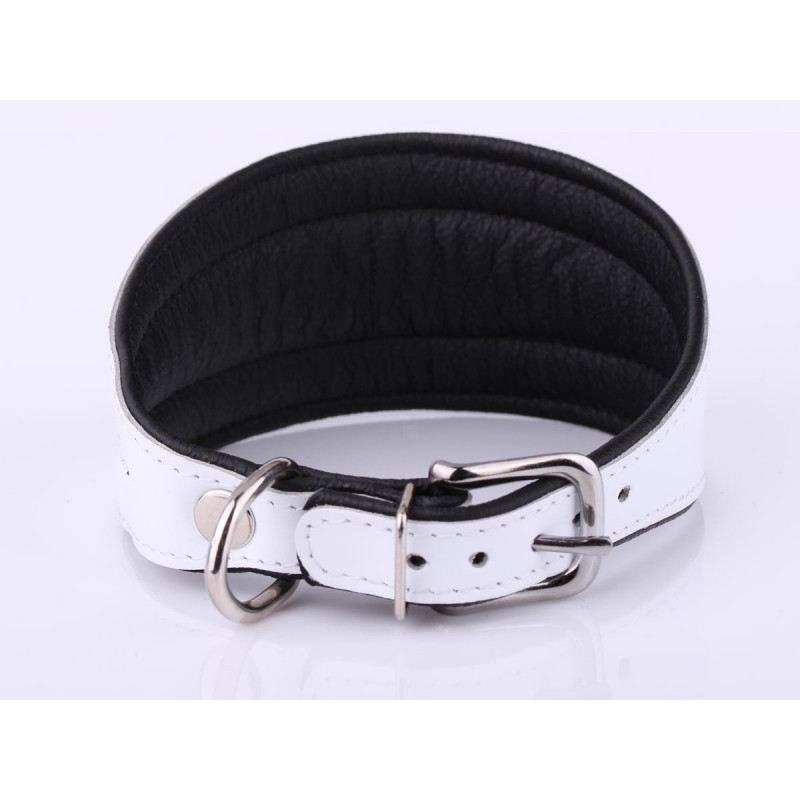 Personalized White Greyhound, Lurcher & Whippet Collar with Soft Padding