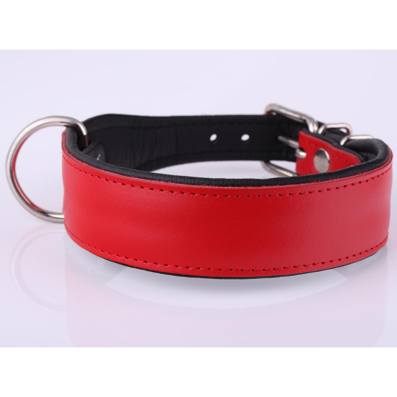 Personalised Red Leather Dog Collar with Soft Padding