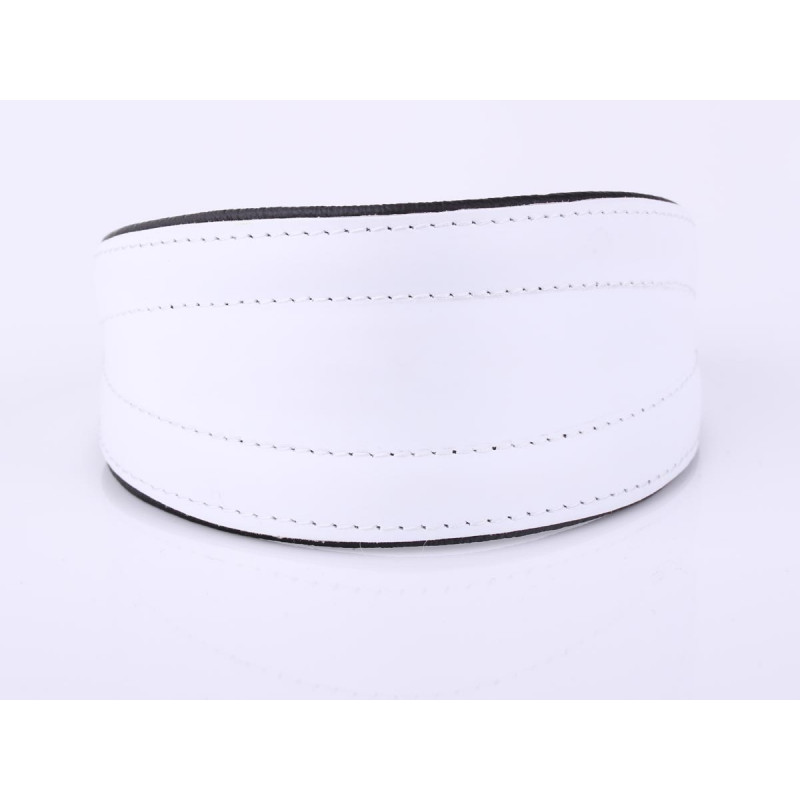 Personalized White Greyhound, Lurcher & Whippet Collar with Soft Padding