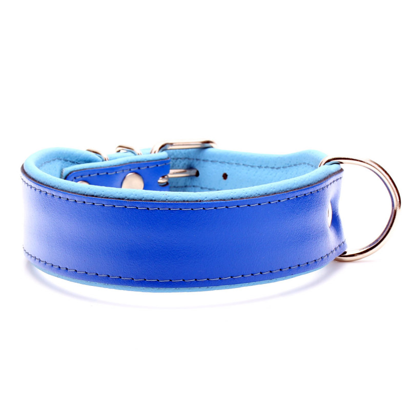 Custom Blue Leather Dog Collar with Blue Padding