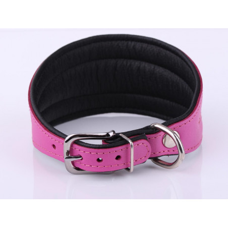 Calzini Donna Con Levriero Whippet - Misto Cotone E Bambù, Blu E Rosa, Taglia 36-41 (3-7 UK)