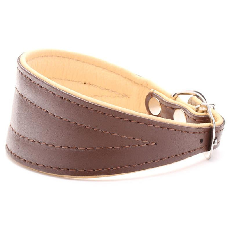 Brown & Beige Padded Leather Greyhound, Lurcher & Whippet Collar UK