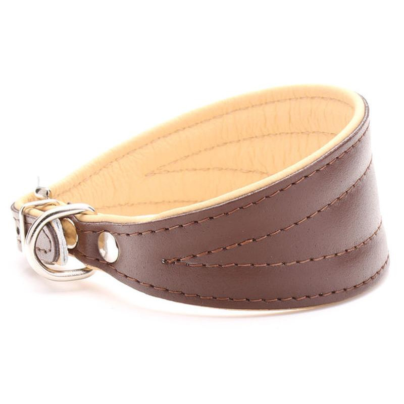 Brown & Beige Padded Leather Greyhound, Lurcher & Whippet Collar UK