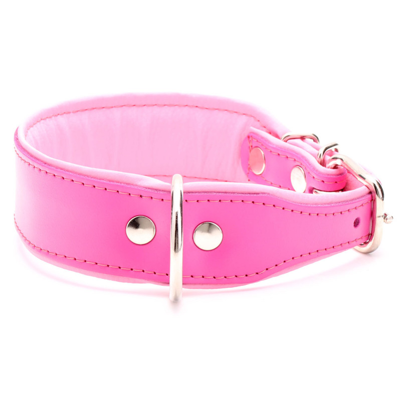 Cute Pink Dog Collar with Baby Pink Lining for Girl Dogs