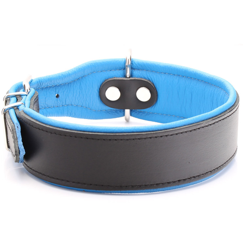 Handgefertigtes Hundehalsband Aus Schwarzem Und Blauem Leder
