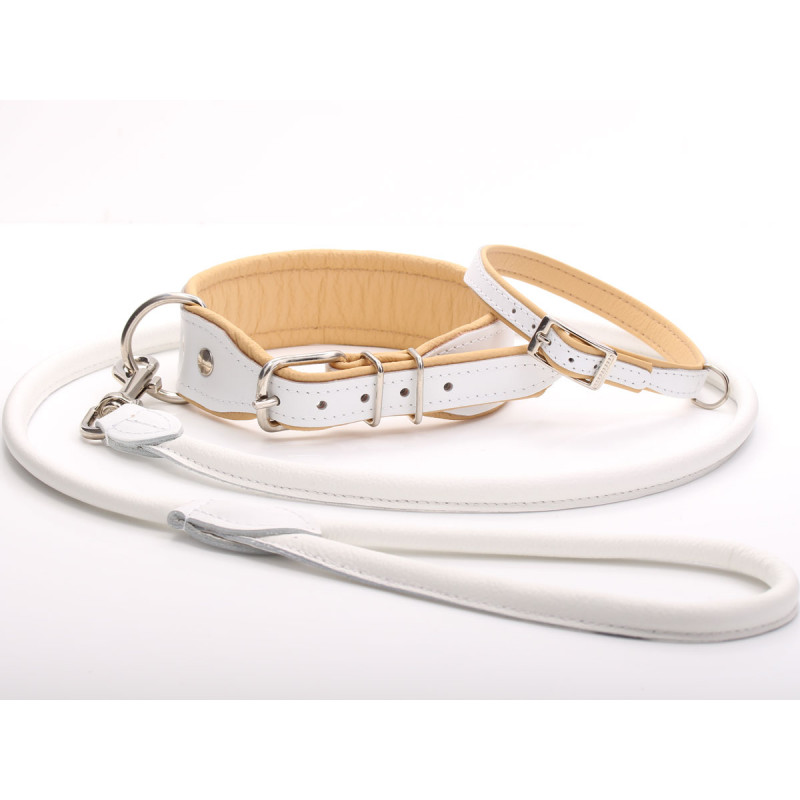 Plain white dog collar outlet