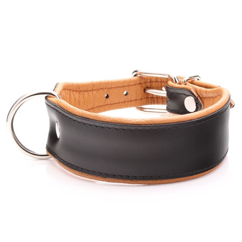 Extra Large Black Tan Leather Dog Collar Big Breeds XL