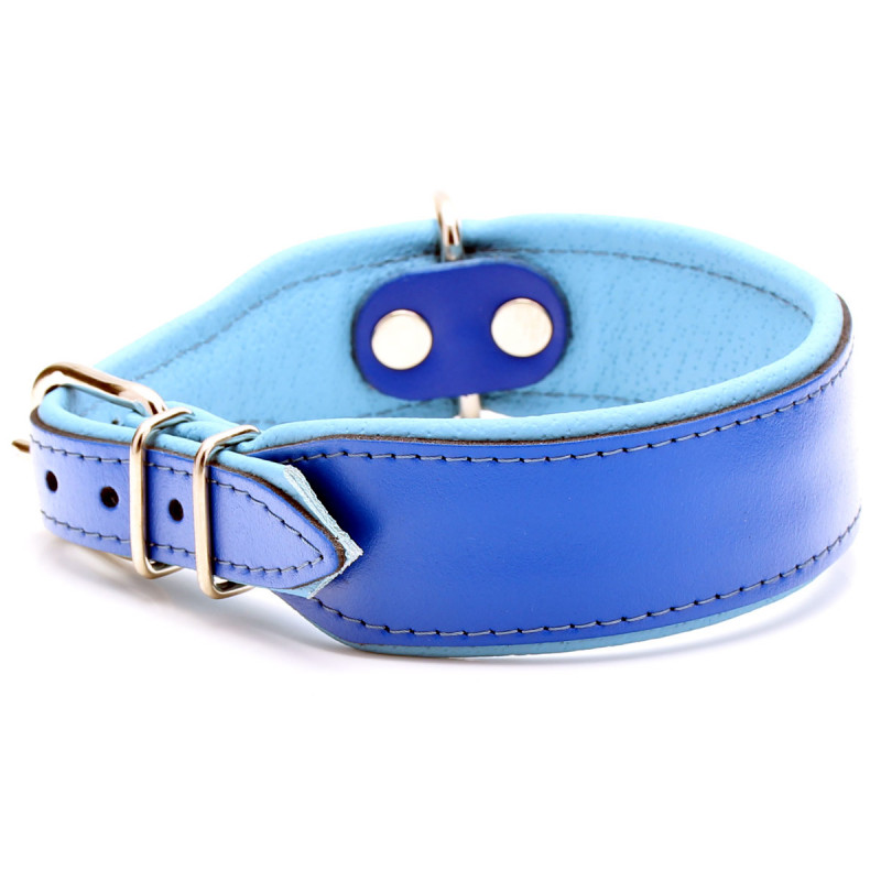 Thick Blue Dog Collar with Padding for Extra Large Dogs