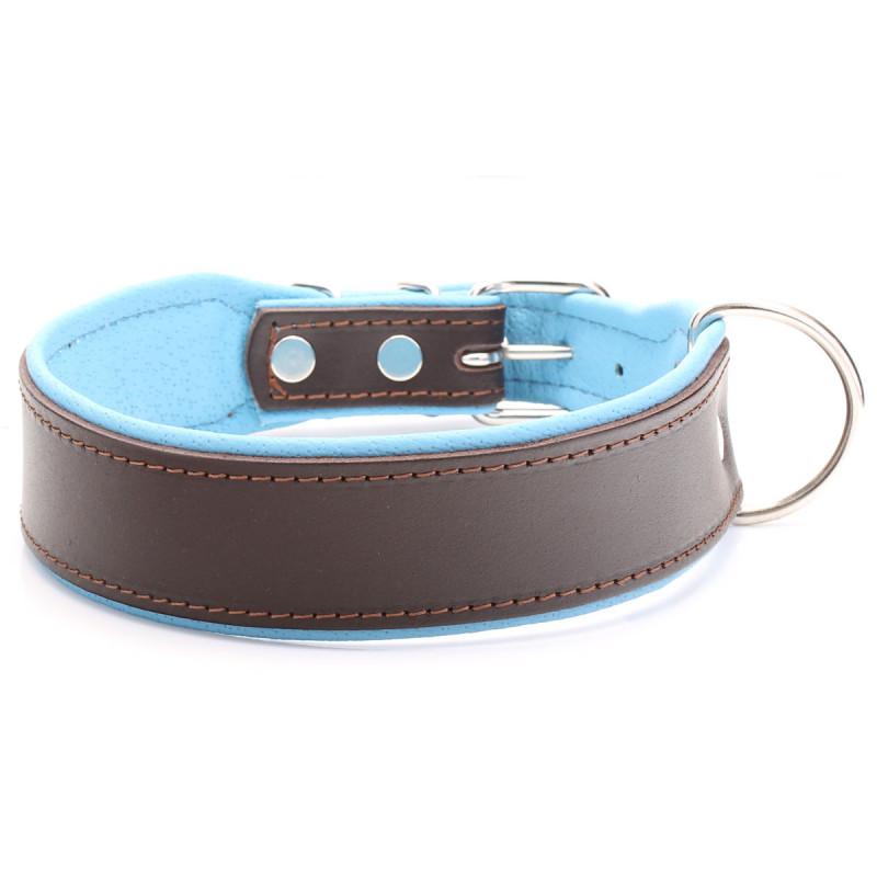 collar ancho perro personalizado