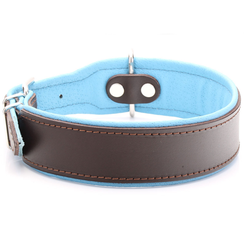 Breites, Gepolstertes Hundehalsband Aus Braunem Und Blauem Leder