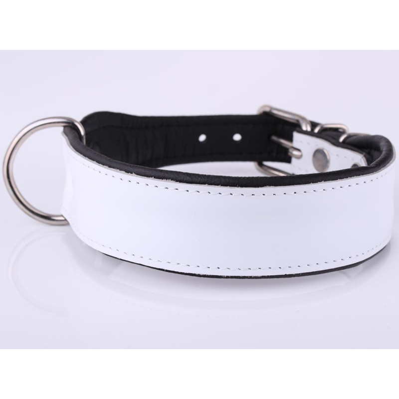 Padded White Leather Dog Collar Extra Wide Design