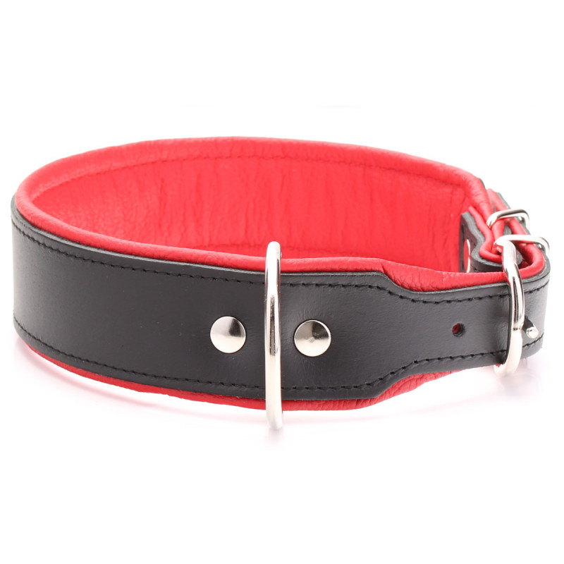 Breites, Gepolstertes Hundehalsband Aus Schwarzem Und Rotem Leder