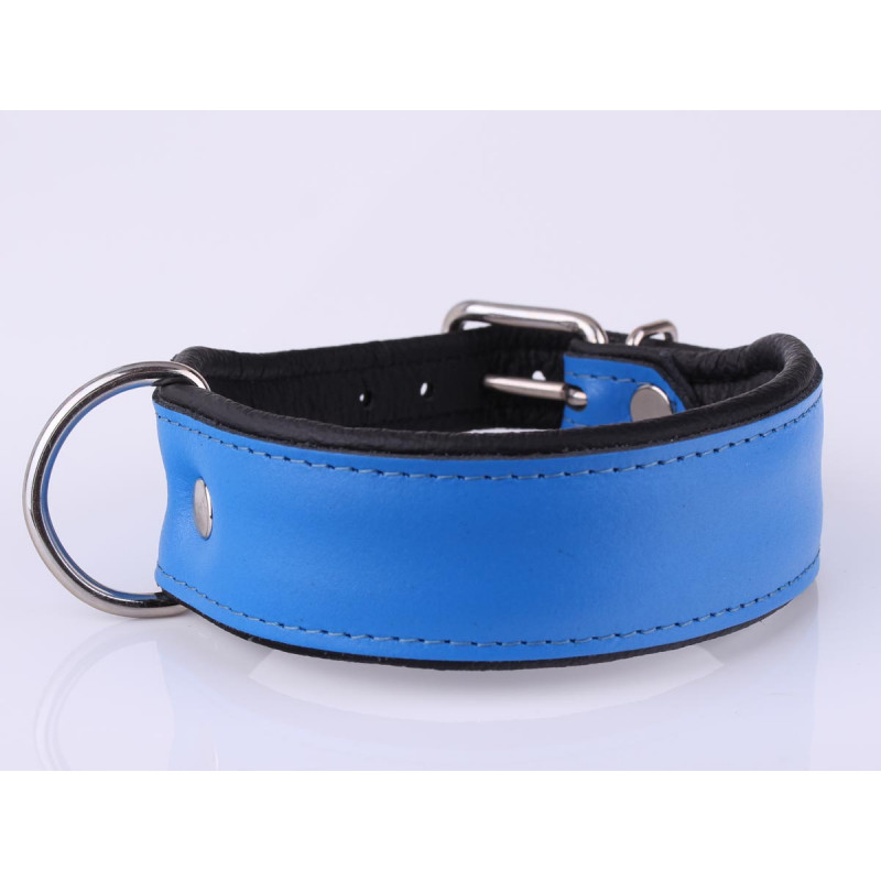 Thick Wide Padded Dog Collar Blue Leather with Personalisation