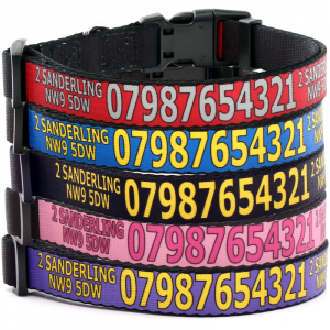 Adjustable Dog Collar with...