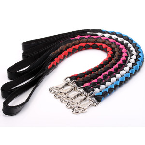 Braided Leather Dog Lead