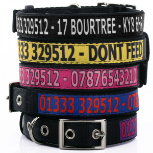 Personalised Fabric Collar...