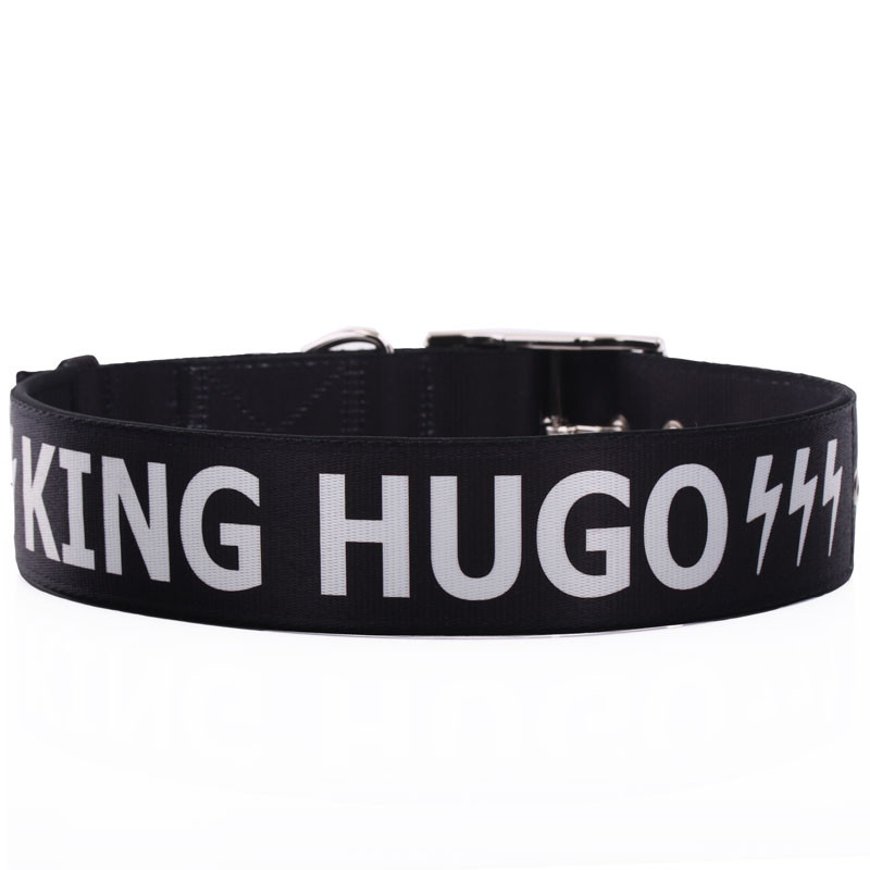 Wide Padded Dog Collar with Print XL