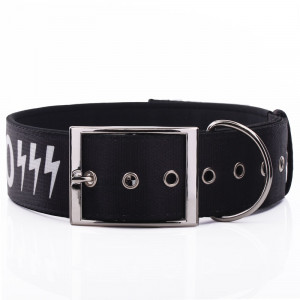 Wide Padded Dog Collar with...