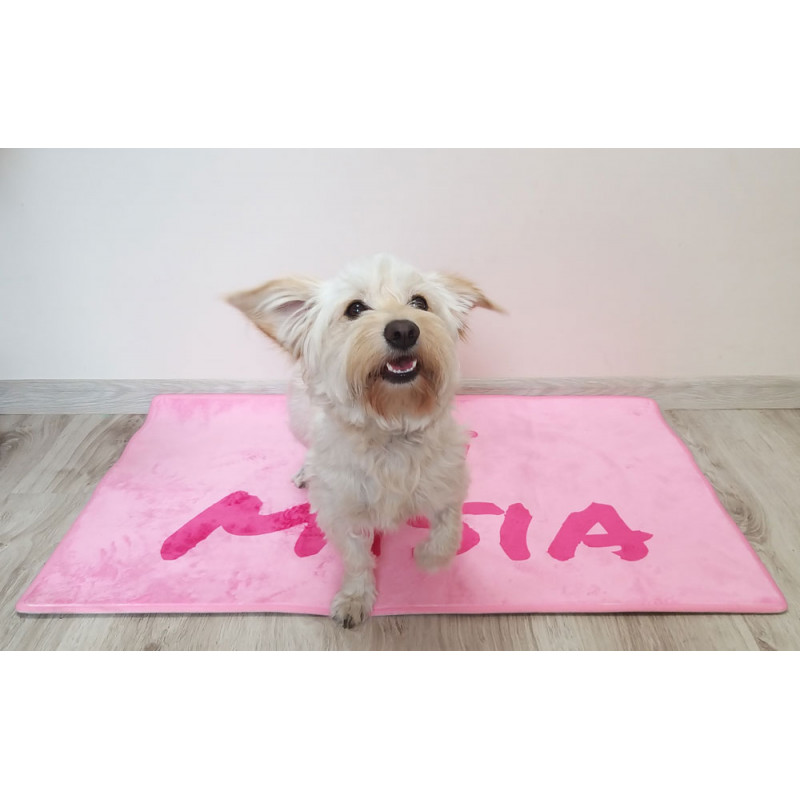 Personalized Light Blue Dog Bed