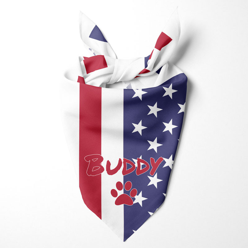 American flag puppy bandana discount