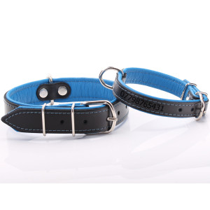 Black & Blue Leather Dog...