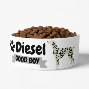 Personalized Dalmatian Dog...