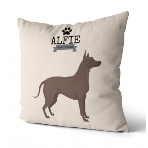 Personalized Xoloitzcuintli...