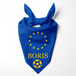 Eu dog bandana 2025