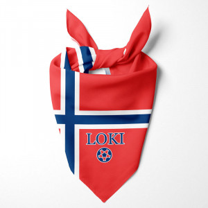 Személyre Norvégia Flag...