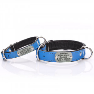 Blue Leather Dog Collar...