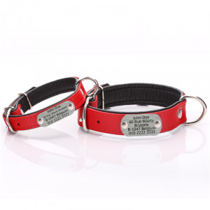 Red Leather Dog Collar with...