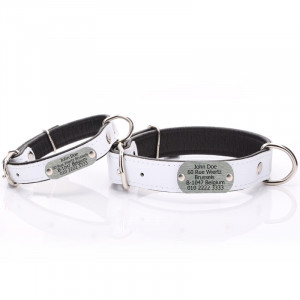 White Leather Dog Collar...